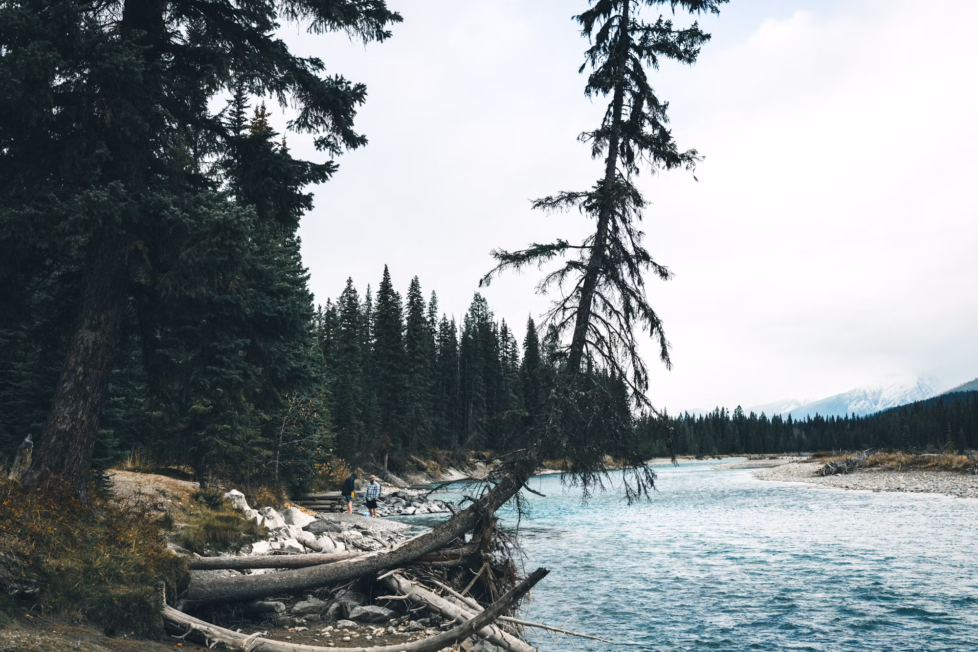 Exploring the Great Outdoors: A Comprehensive Guide to Hiking